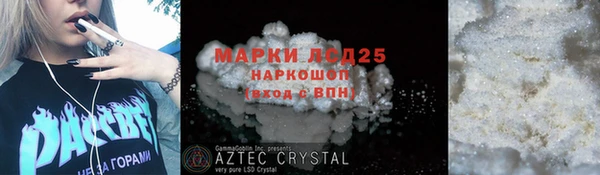 ECSTASY Алзамай