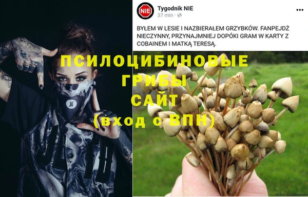 наркотики Абинск