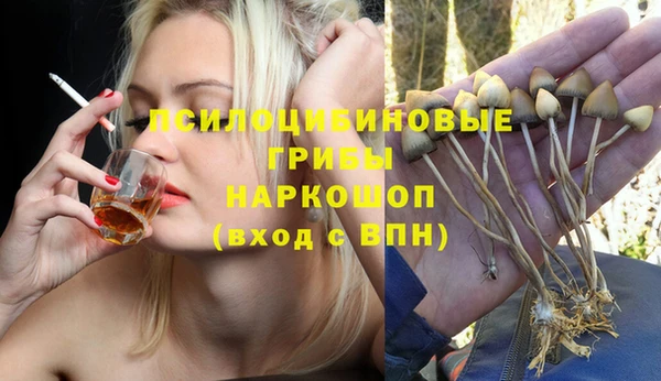спиды Алексеевка